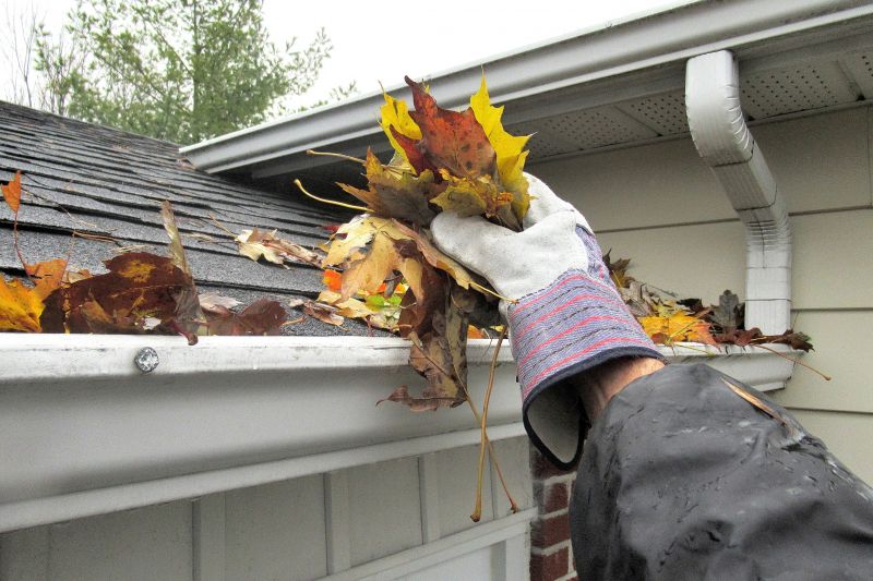 Fall Gutter Maintenance